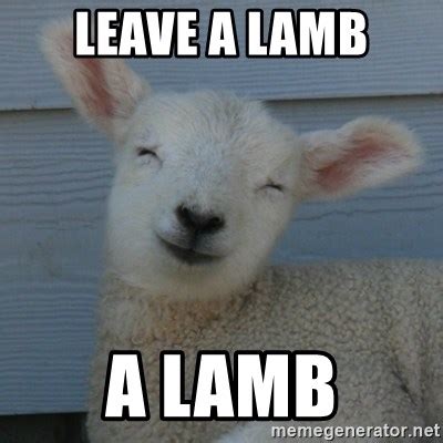 lamb memes|lamb meme generator.